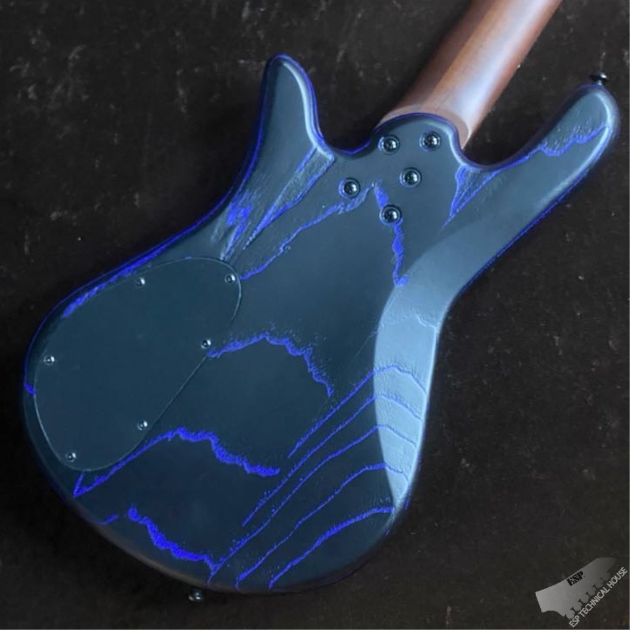 Spector NS Pulse 5 Japan Exclusive 【Black Blue Fill】（新品/送料