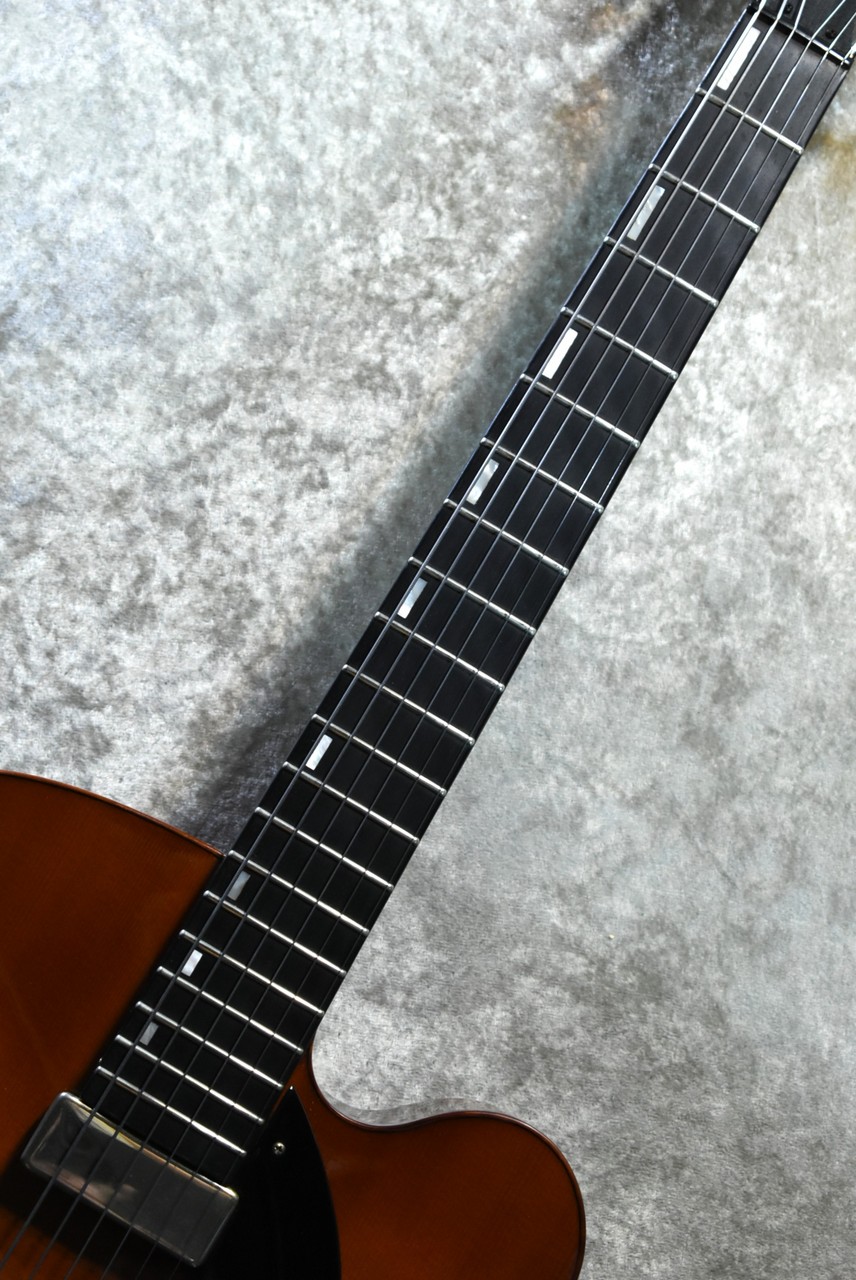 Ibanez AFC151-DA with Magnum Lock -Dark Amber【2021年製/中古