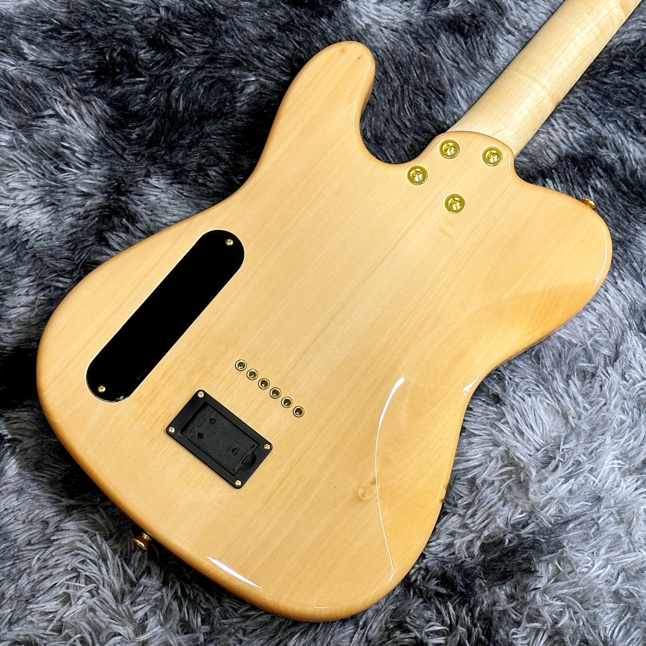 Aria Pro II TEG-780 N (Natural) 【特価】【限定モデル】（新品特価