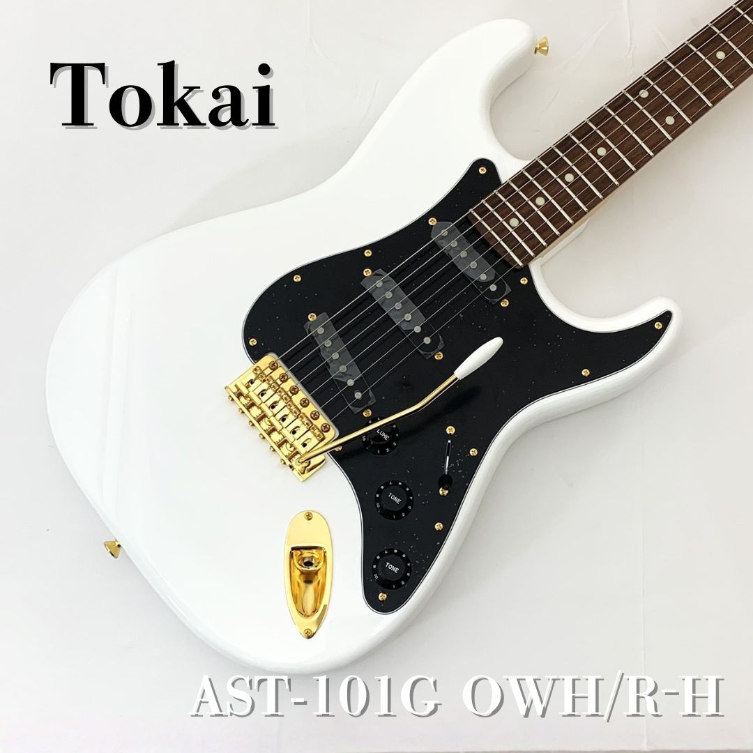 TOKAI AST-101G 限定品 Tokai AST-101 -Blue Flower / BFR- 【限定生産モデル】（新品/送料