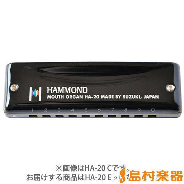 Hammond HAMMOND HA-20 E♭ スズキ 10穴ハーモニカ E♭（新品特価）【楽器検索デジマート】