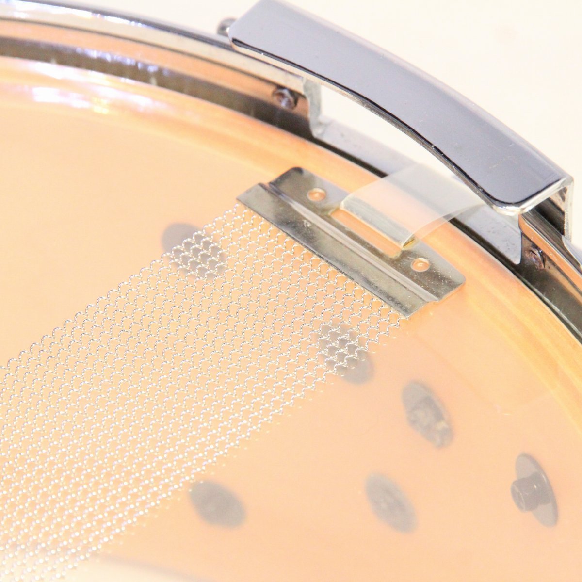 ドでか！ドラパルド　ドラメシヤ10体セット ドラパルトexデッキ【ver1.4】{-}