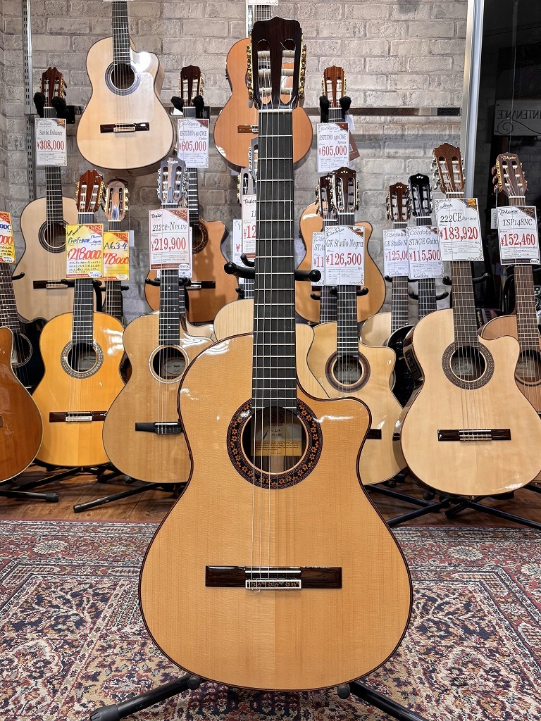 Jose Ramirez Estudio 140 CWE S #123【エレガット】（新品