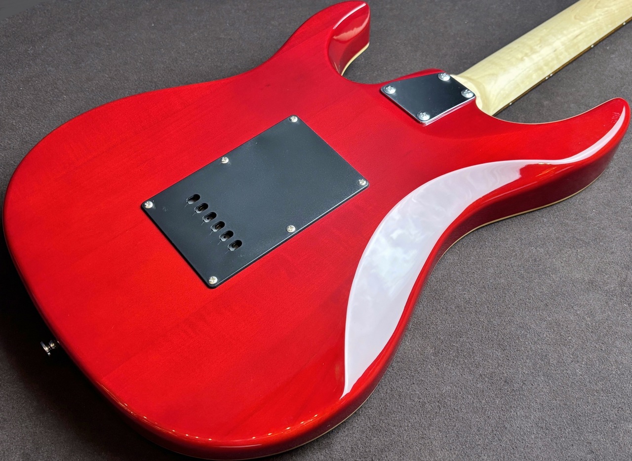 GrassRoots G-SNAPPER-CTM See Thru Red（中古）【楽器検索デジマート】