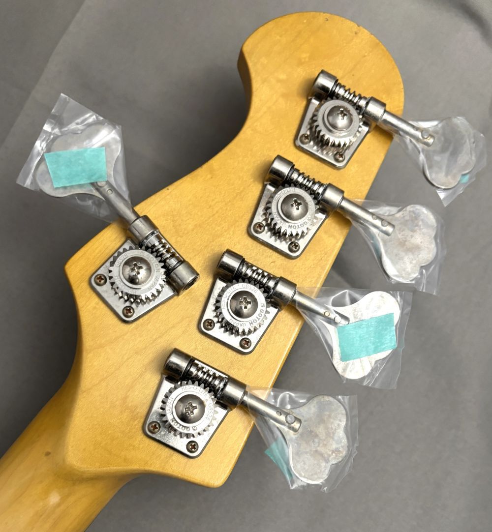 Provision 【48回無金利】VJGB5N-RELIC -Lake Placid Blue/MH/Lacquer