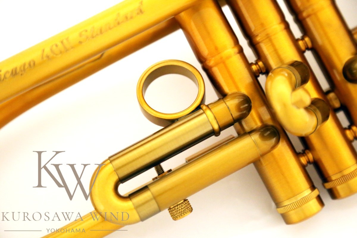 Taylor Chicago 46Ⅱ Standard 【新品/New】【テイラー