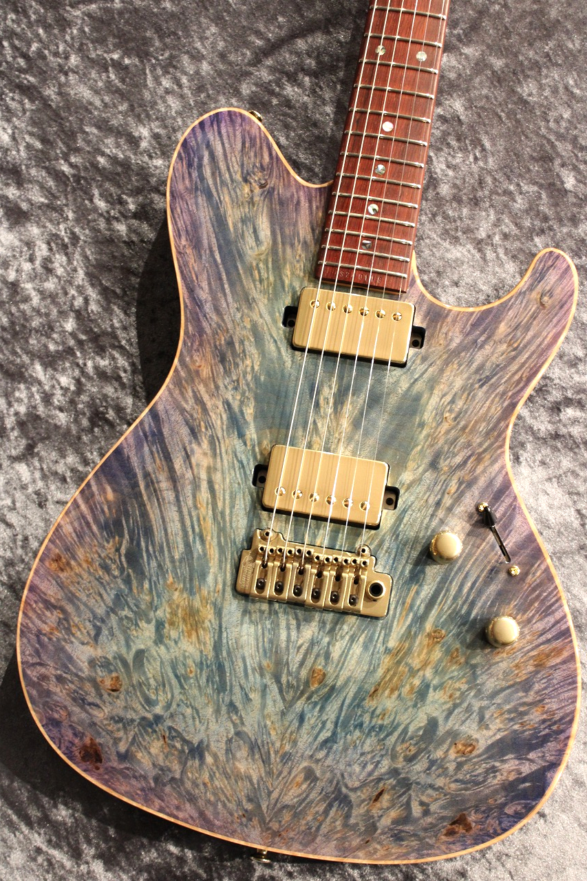 Sugi CTM Order DS496C BM-EX/HM/F-Maho Whistling Thrush Blue