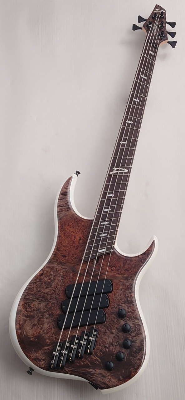 DINGWALL 【48回無金利】Z3 5st -Burled Maple Top-【USED