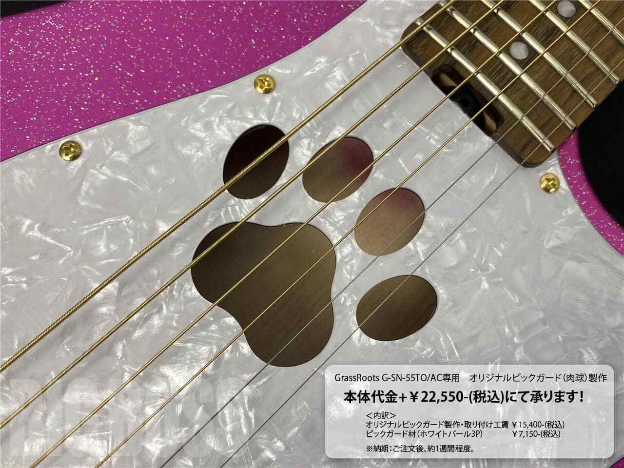 GrassRoots G-SN-55TO AC Produced by Takayoshi Ohmura エレクトリックアコースティックギタ