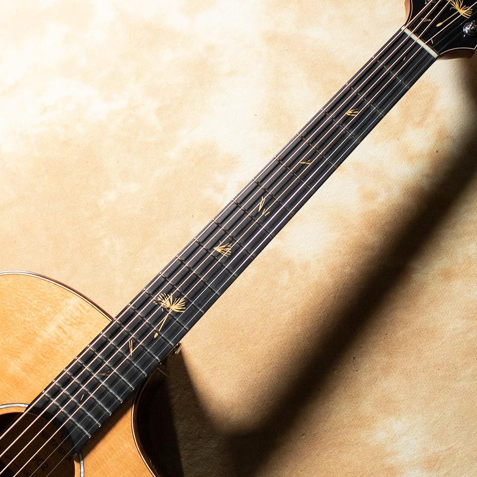 NATASHA JC-2（新品/送料無料）【楽器検索デジマート】