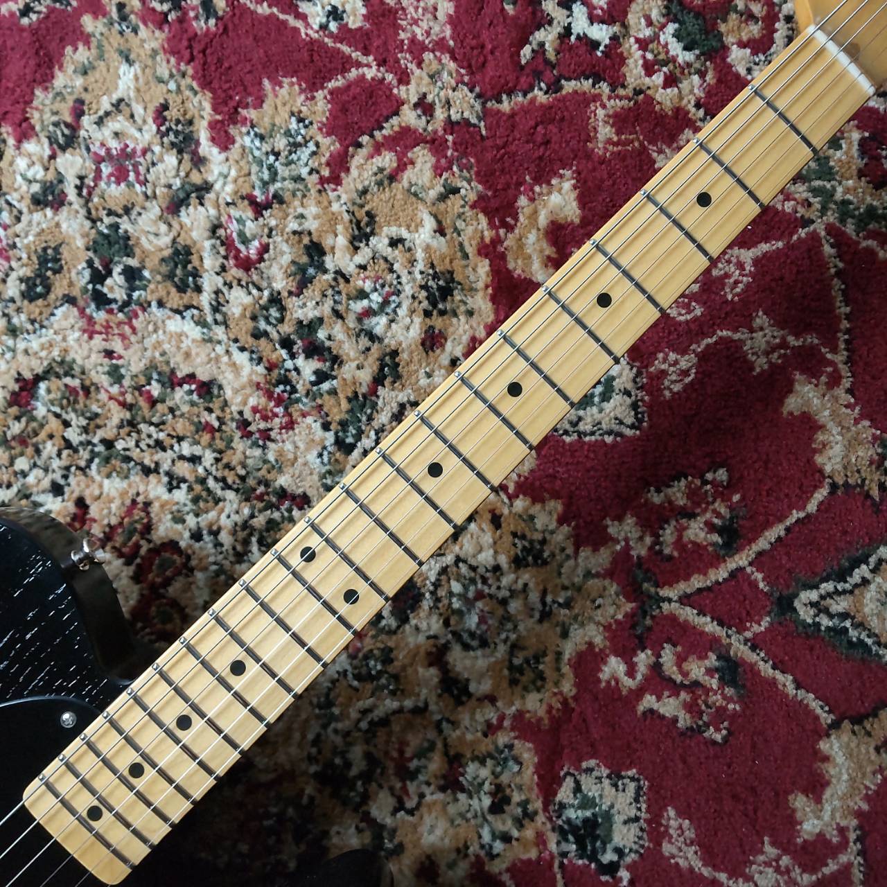 KING SNAKE Sidewinder（新品/送料無料）【楽器検索デジマート】