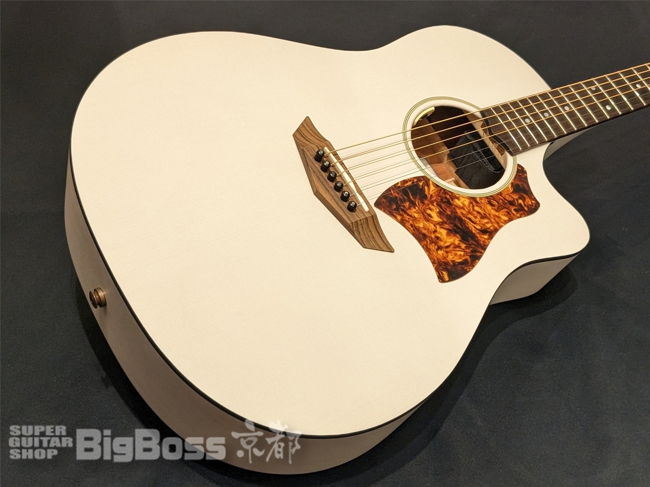 FUJIGEN(FGN) AG1E（新品/送料無料）【楽器検索デジマート】