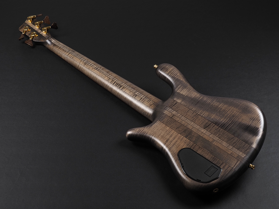 Warwick Custom Shop Master Built Streamer Stage I 5st ~Nirvana
