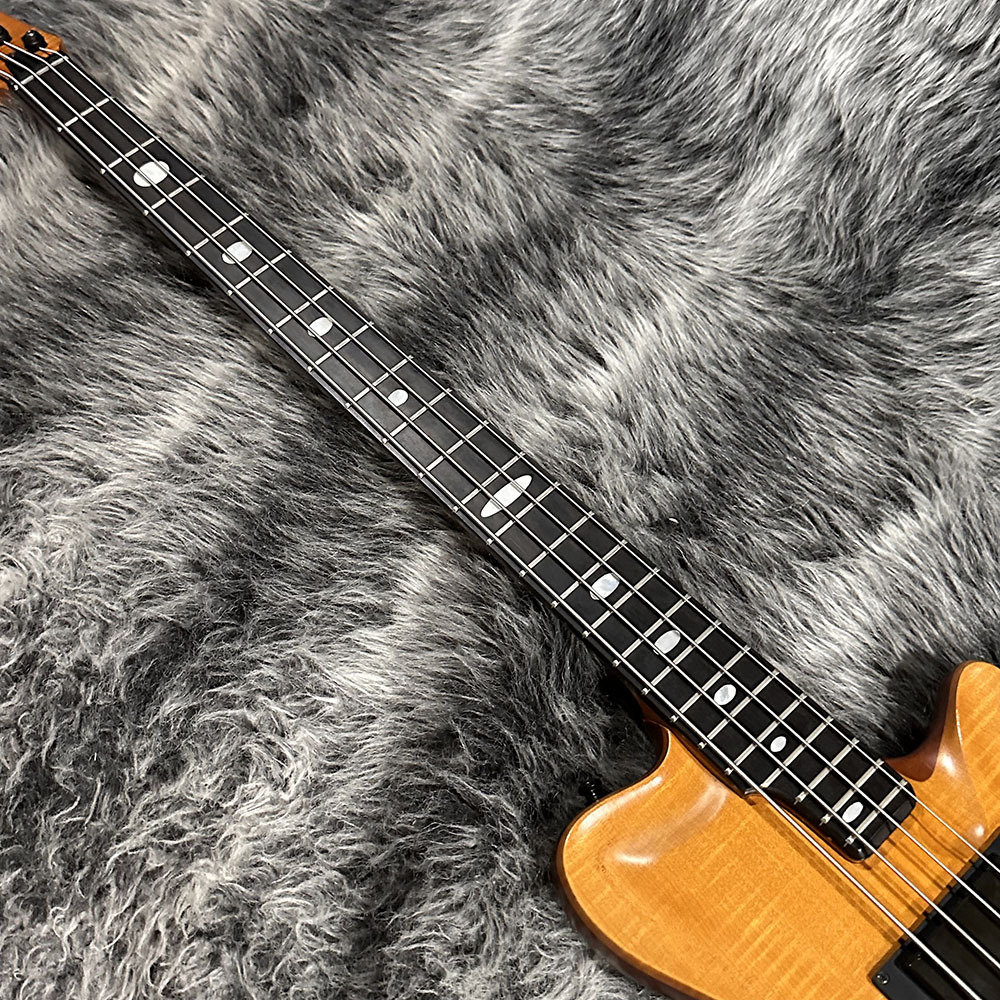 ALEMBIC ベース用ピックアップ PJ 希少 ALEMBIC ベース用ピックアップ PJ 希少 ベース詳細