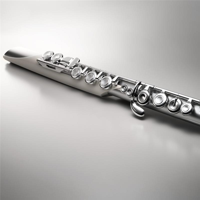 Roland 【新製品】 ローランド / Aerophone Brisa デジタル管楽器 AE