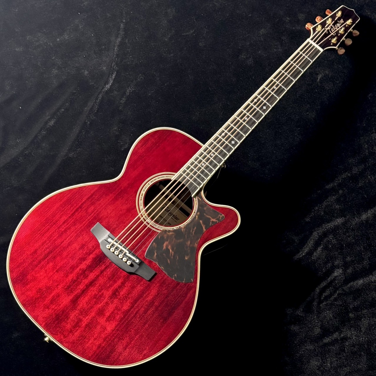 Takamine DMP50S WR エレアコギター セミハードケース付属 【島村楽器