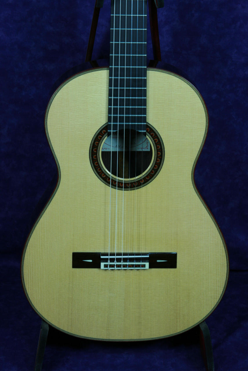 受発注Del alma１９世紀ギター インディアンローズウッド 本体