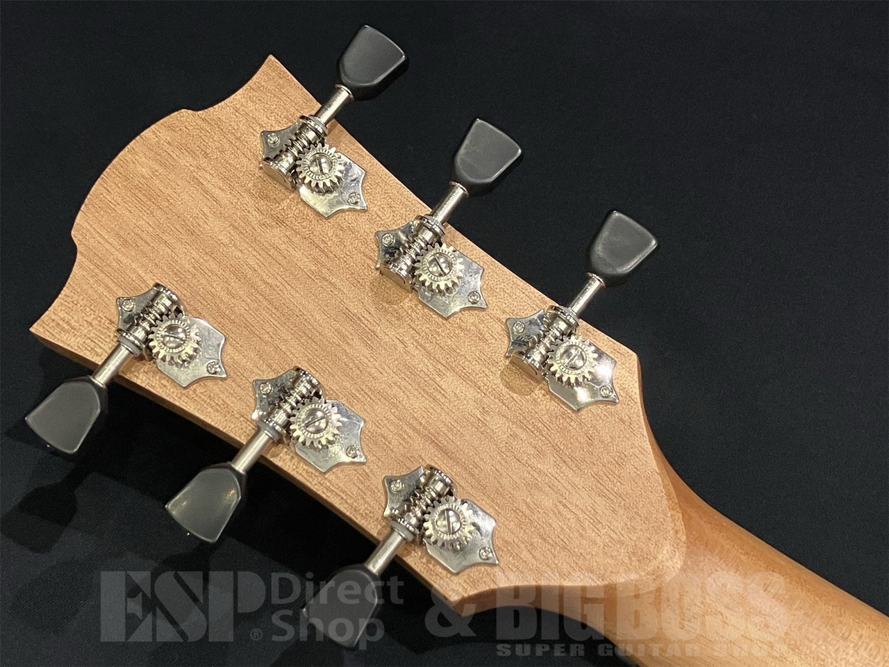 最終値下げ アコースティックギター T70ACE LAG Guitars T70ACE / Natural（新品/送料無料）【楽器検索