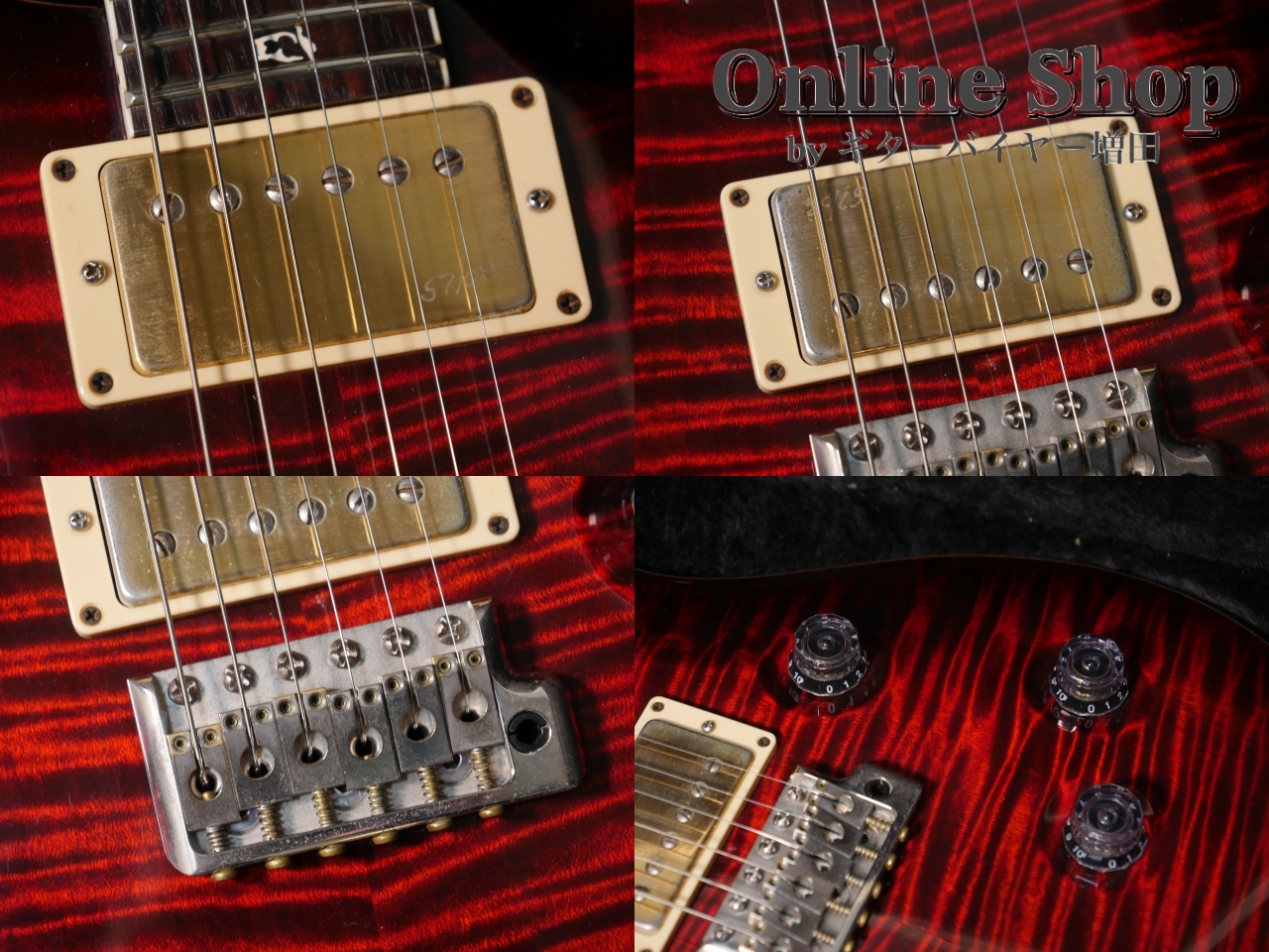 Paul Reed Smith(PRS) 【試奏動画】2010 