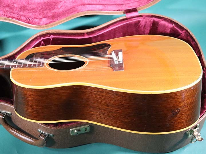Greco 101/ GibsonJ-50タイプ Greco 101/ GibsonJ-50タイプ