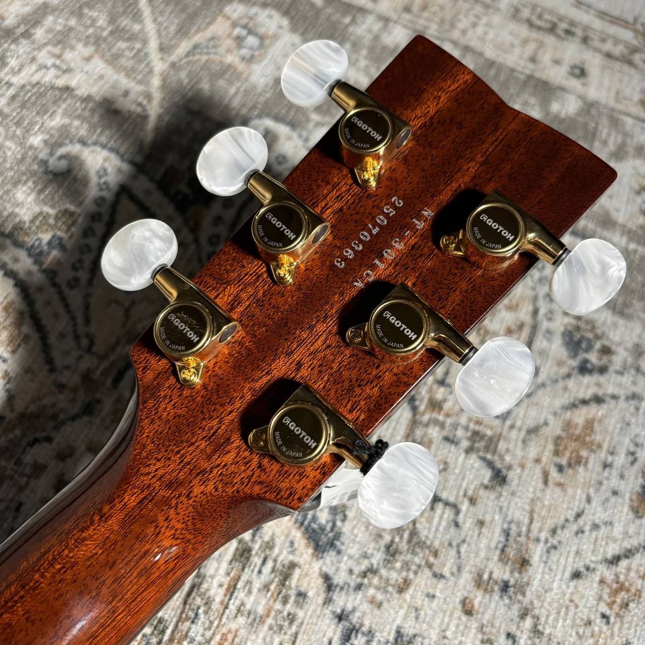 HISTORY NT-301/Ca アコースティックギター／PU搭載（新品/送料無料
