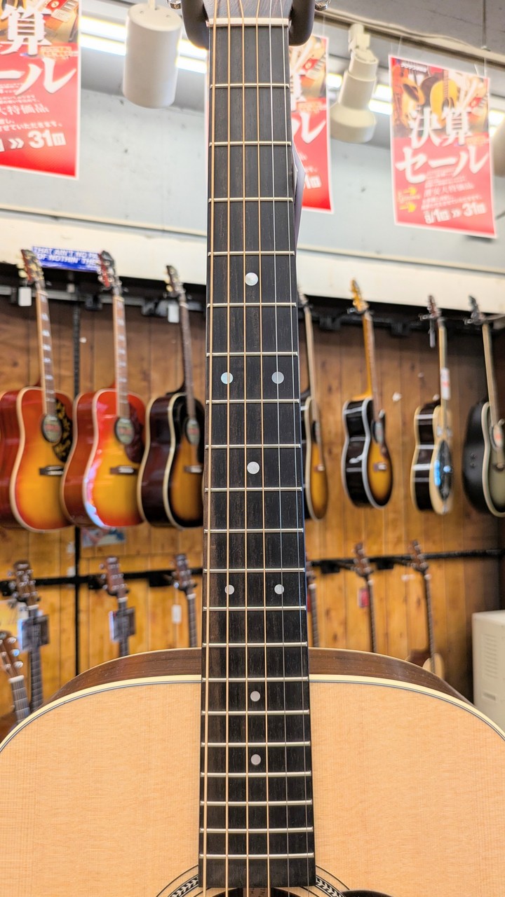 Martin D-16E-01 #2982607【Made in USA】【オール単板】（新品/送料