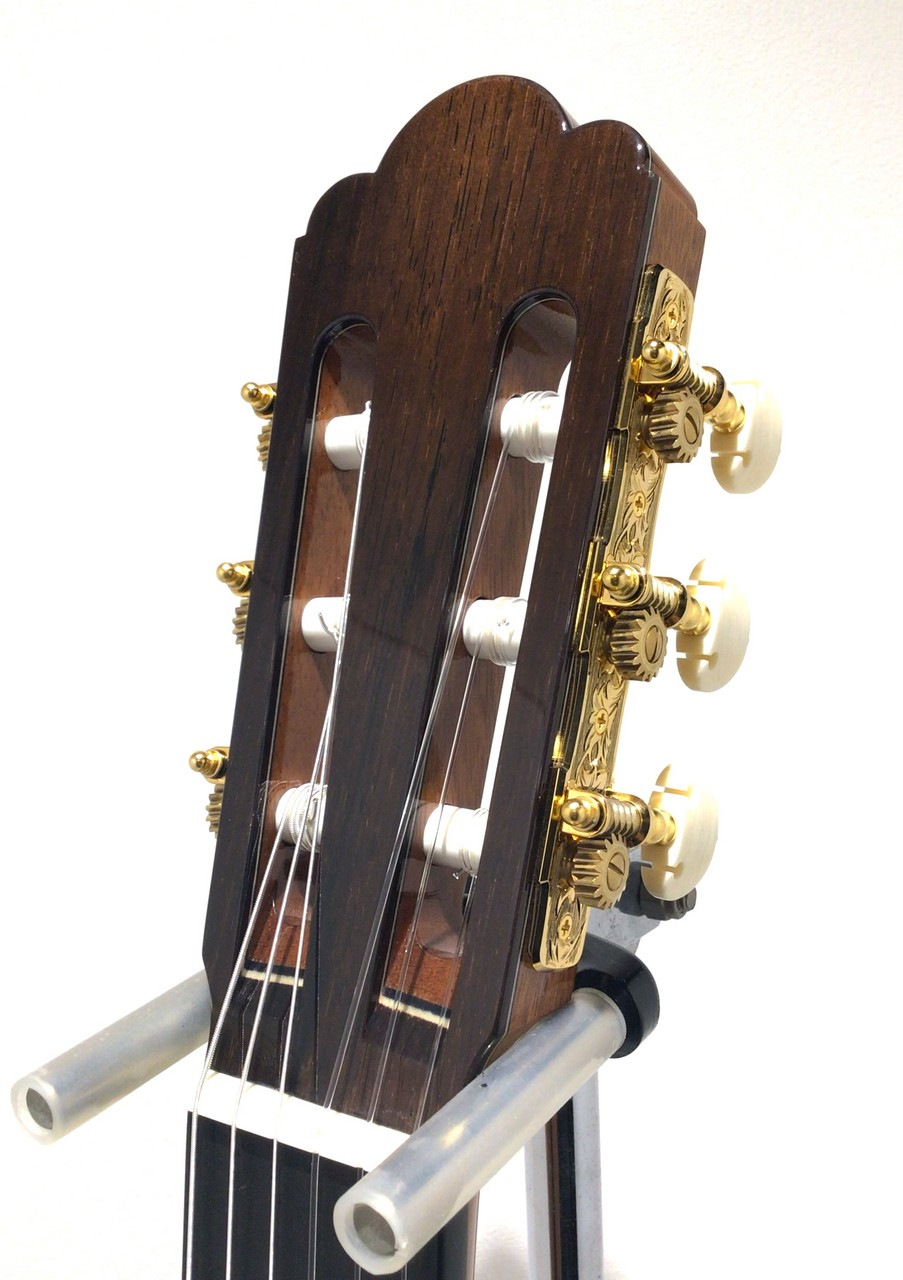 ASTURIAS RENAISSANCE/S（新品/送料無料）【楽器検索デジマート】