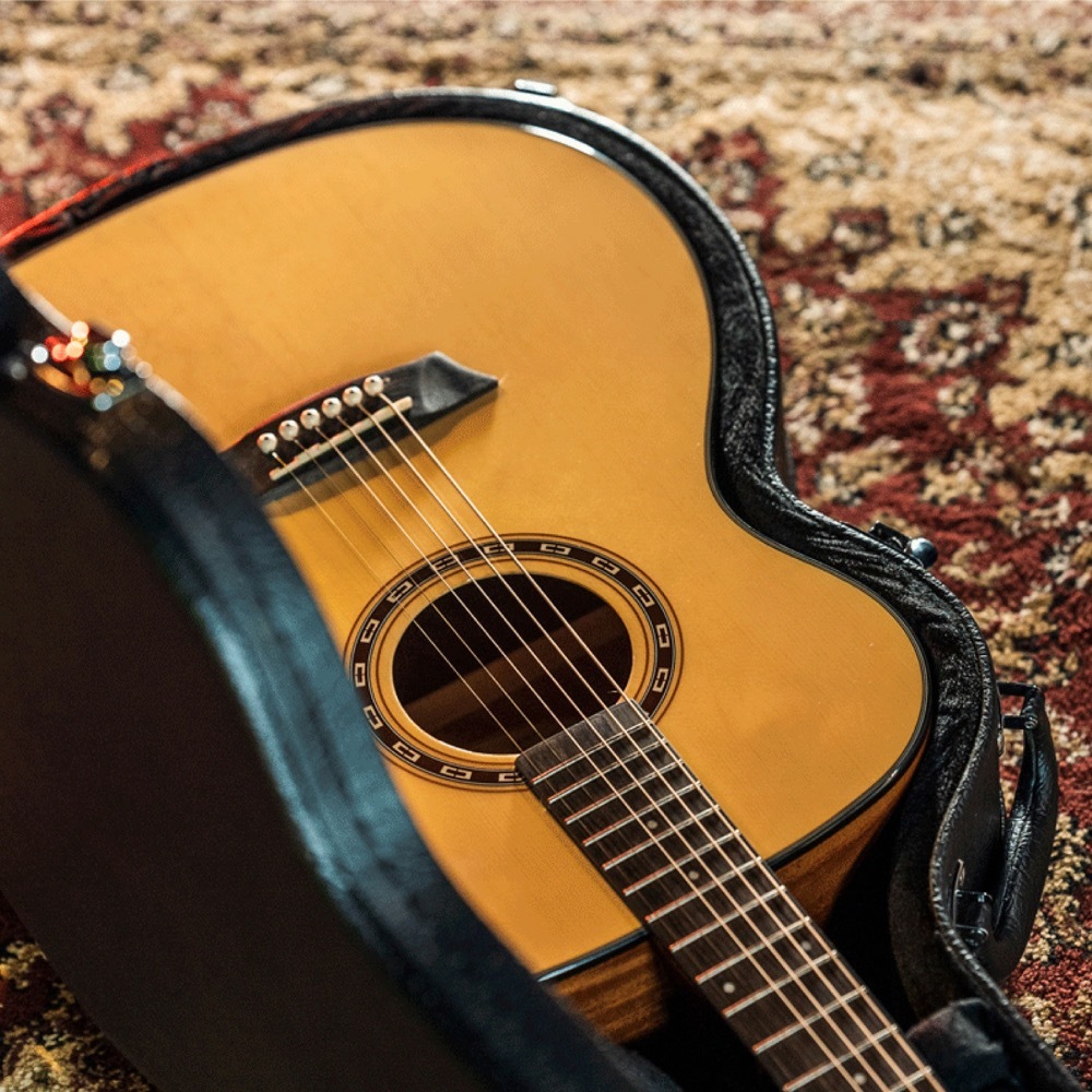 Washburn ワッシュバーン F5 アコースティックギター（新品/送料無料