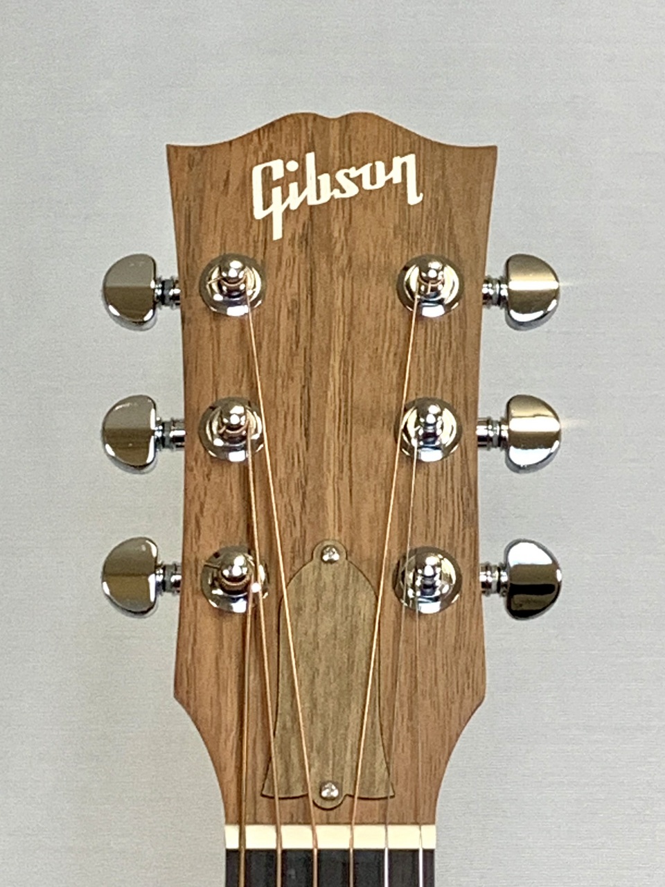 Gibson Gibson G-Bird ギブソン Gバード（新品）【楽器検索デジマート】
