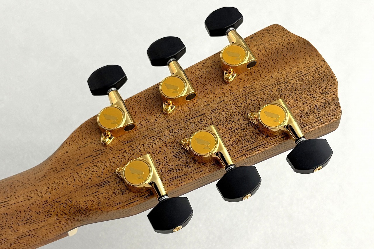 生産終了モデル MORRIS S-30 トップ/バック単板 フィンガースタイル 生産終了モデル MORRIS S-30 トップ/バック単板 フィンガースタイル