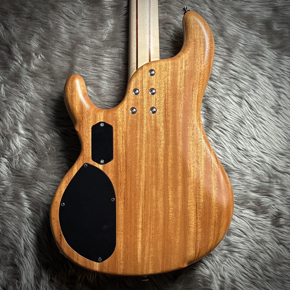 し*ま様 dragonfly CS-4 CUSTOM エレキベース 本体　1本物 dragonfly CS4 CUSTOM CLARO WAL（新品/送料無料）【楽器検索デジマート】