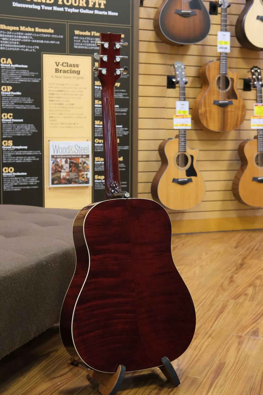 Morris G-021E / WR（新品/送料無料）【楽器検索デジマート】