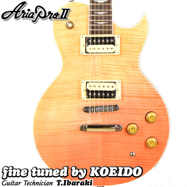 Aria Pro II Aria ProII PE-JAIL 2025 ジェイル大橋代官【小樽店