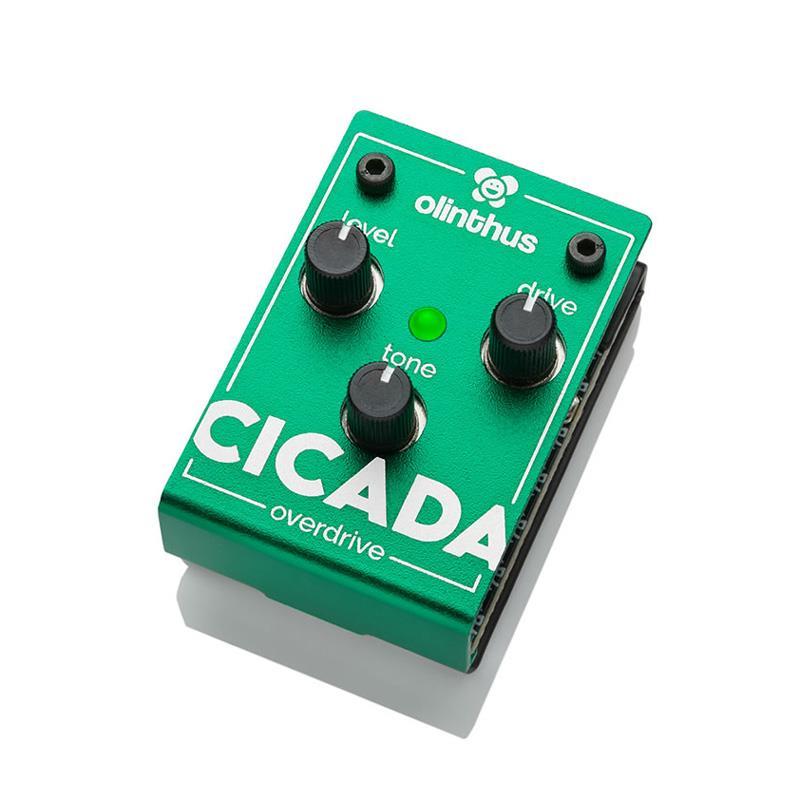 Olinthus CICADA（オーバードライブ）（新品）【楽器検索デジマート】