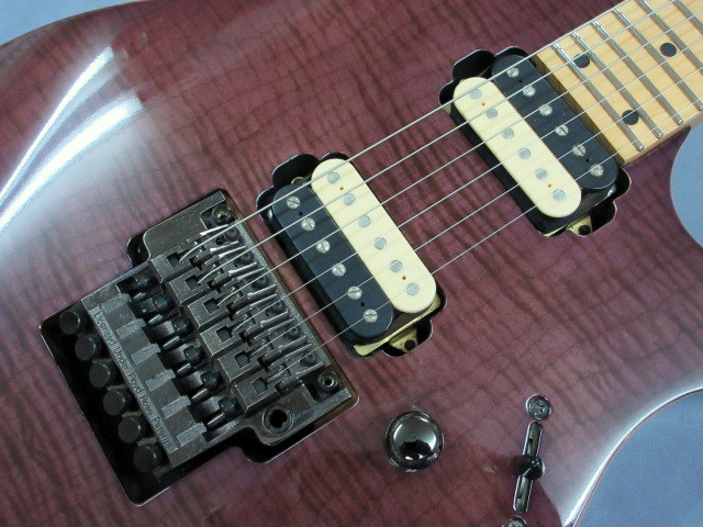 Ibanez RG SERIES / Medium Scale Custom Order （中古）【楽器