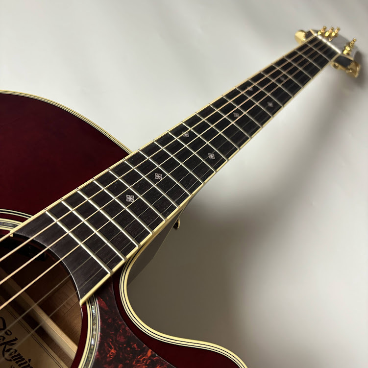 Takamine Takamine DMP551C WR エレアコギター 【500シリーズ