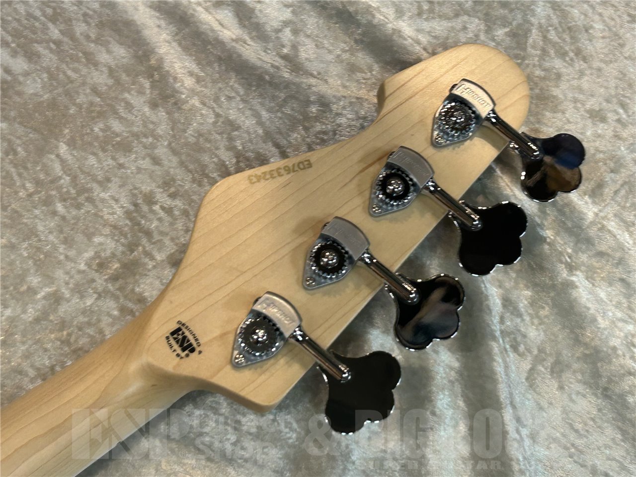 ベース EDWARDS E-AMAZE-AS-4/M (Solid Black) EDWARDS E-AMAZE-AS-4/M -Solid Black-（新品/送料無料）【楽器