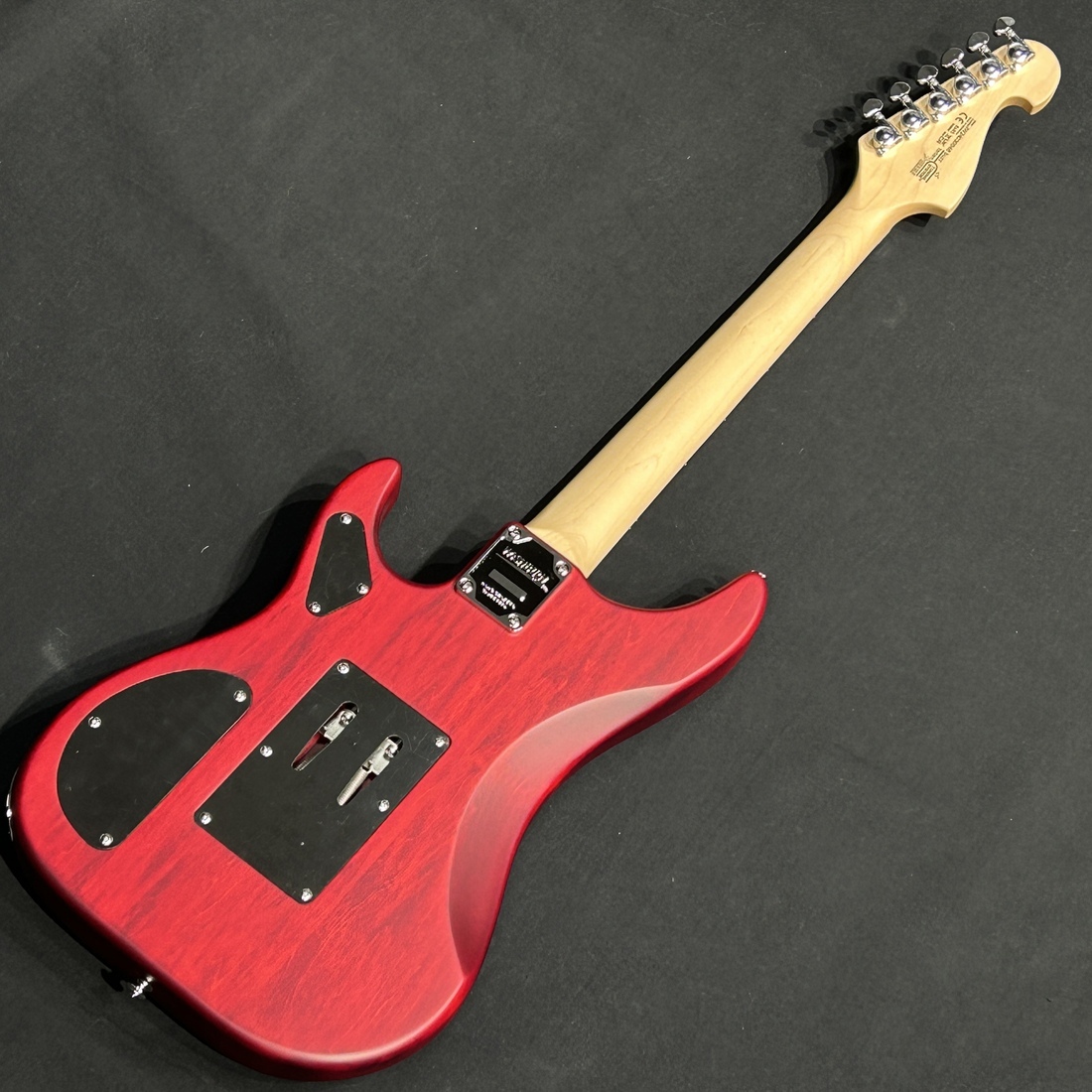 Washburn N2 NUNO Padauk（新品）【楽器検索デジマート】