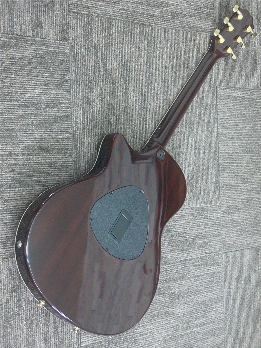 taylor T5C1 ギター