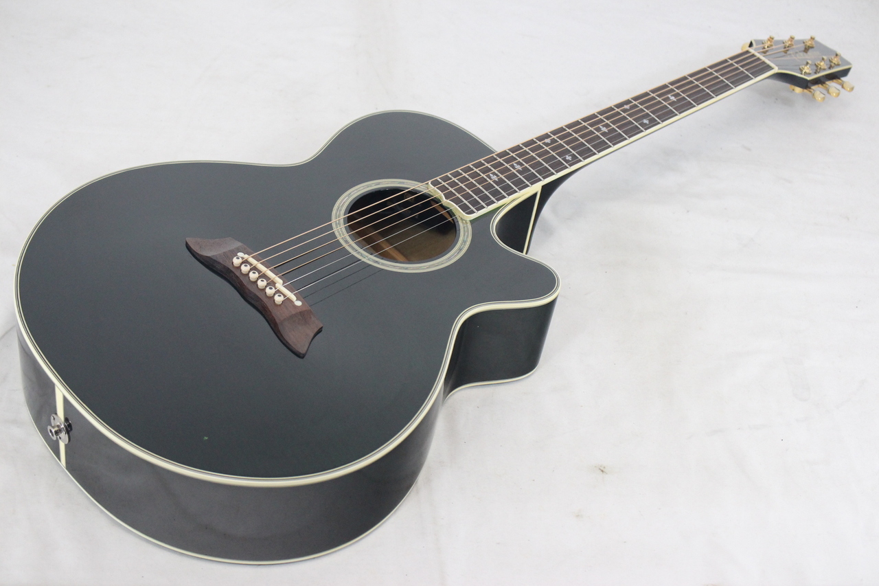 TAKAMINE エレアコ NPT-110 Takamine NPT-110 （Sold Out） | 千葉 船橋 ギター買取り 販売