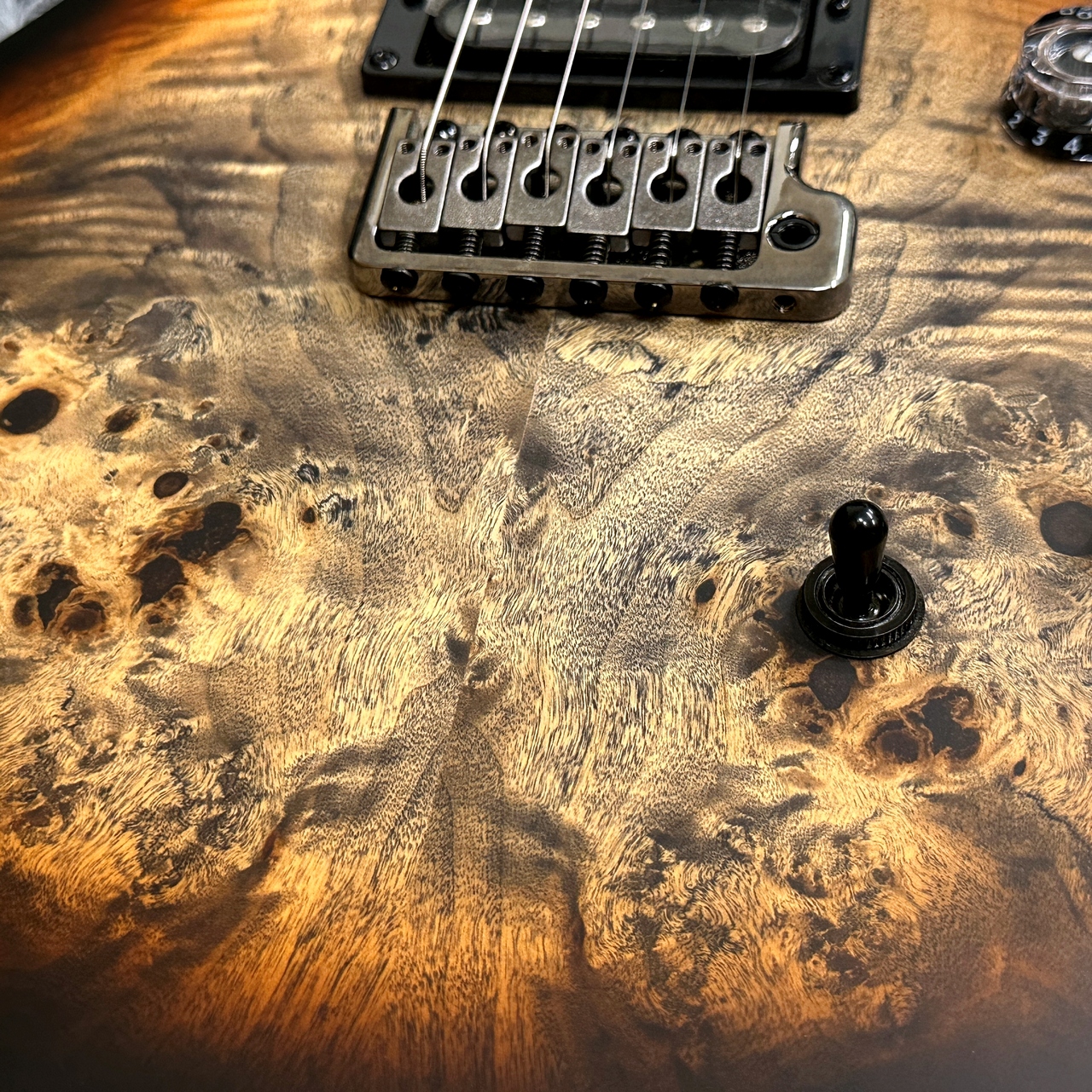 Paul Reed Smith(PRS) SE Custom 24-08 Poplar Burl Limited Edition