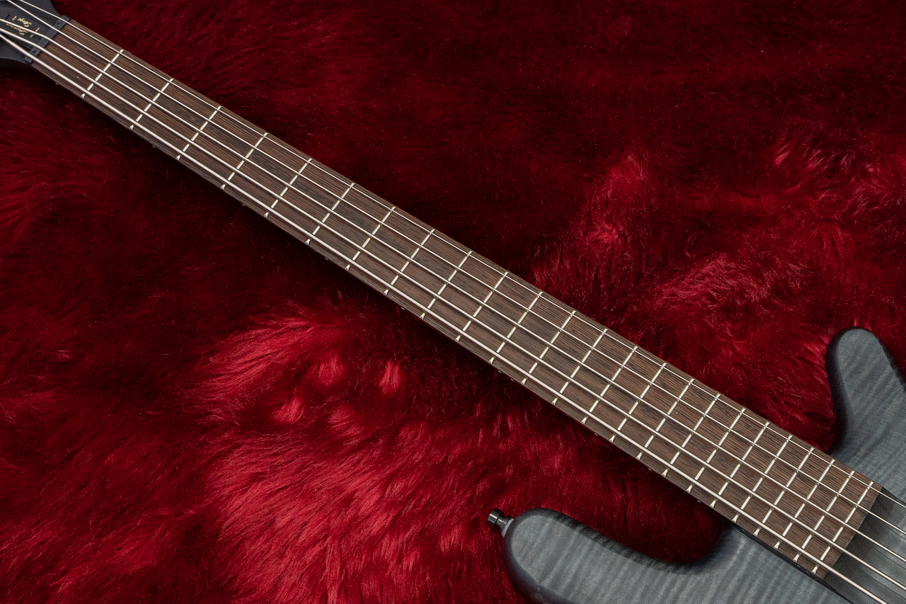 ベース Warwick Team Build PS Streamer Stg1 LX 5 Warwick Teambuilt Pro Series Streamer LX, 5-String – Nirvana