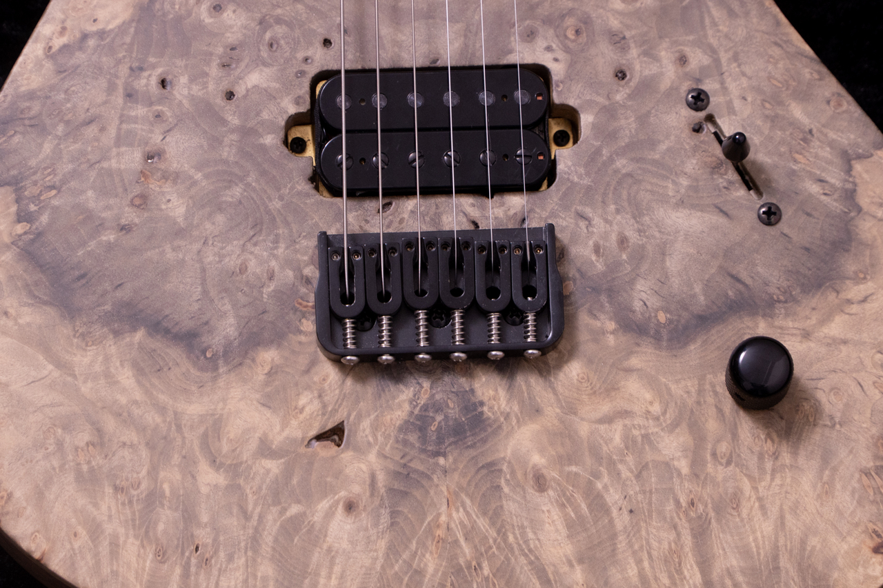 RONCISWALL GUITARS RS6 Buckeye Burl 2.81kg【TONIQ横浜】（新品/送料