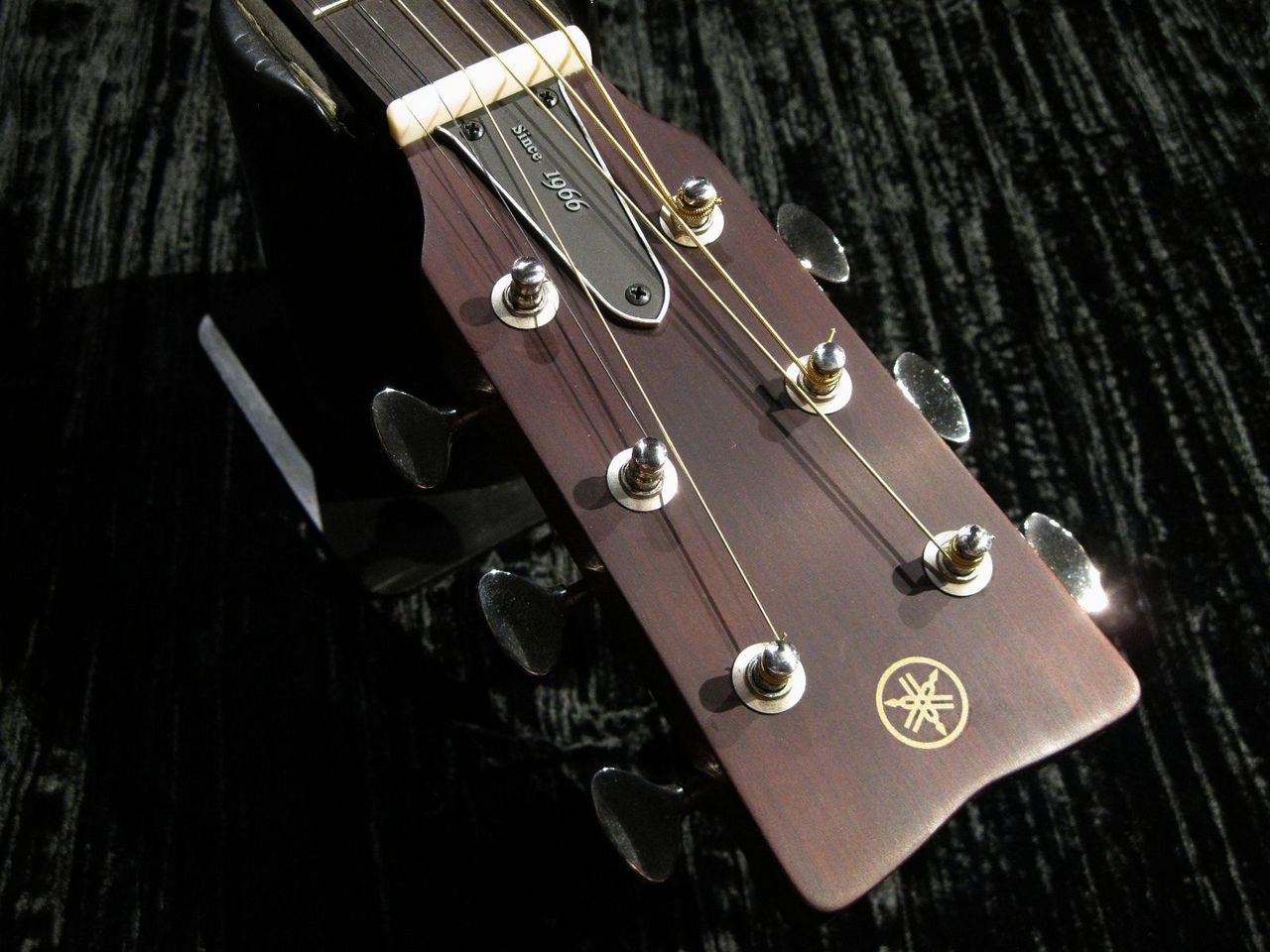 YAMAHA Red Label FGX5 VN (Vintage Natural)（中古）【楽器検索