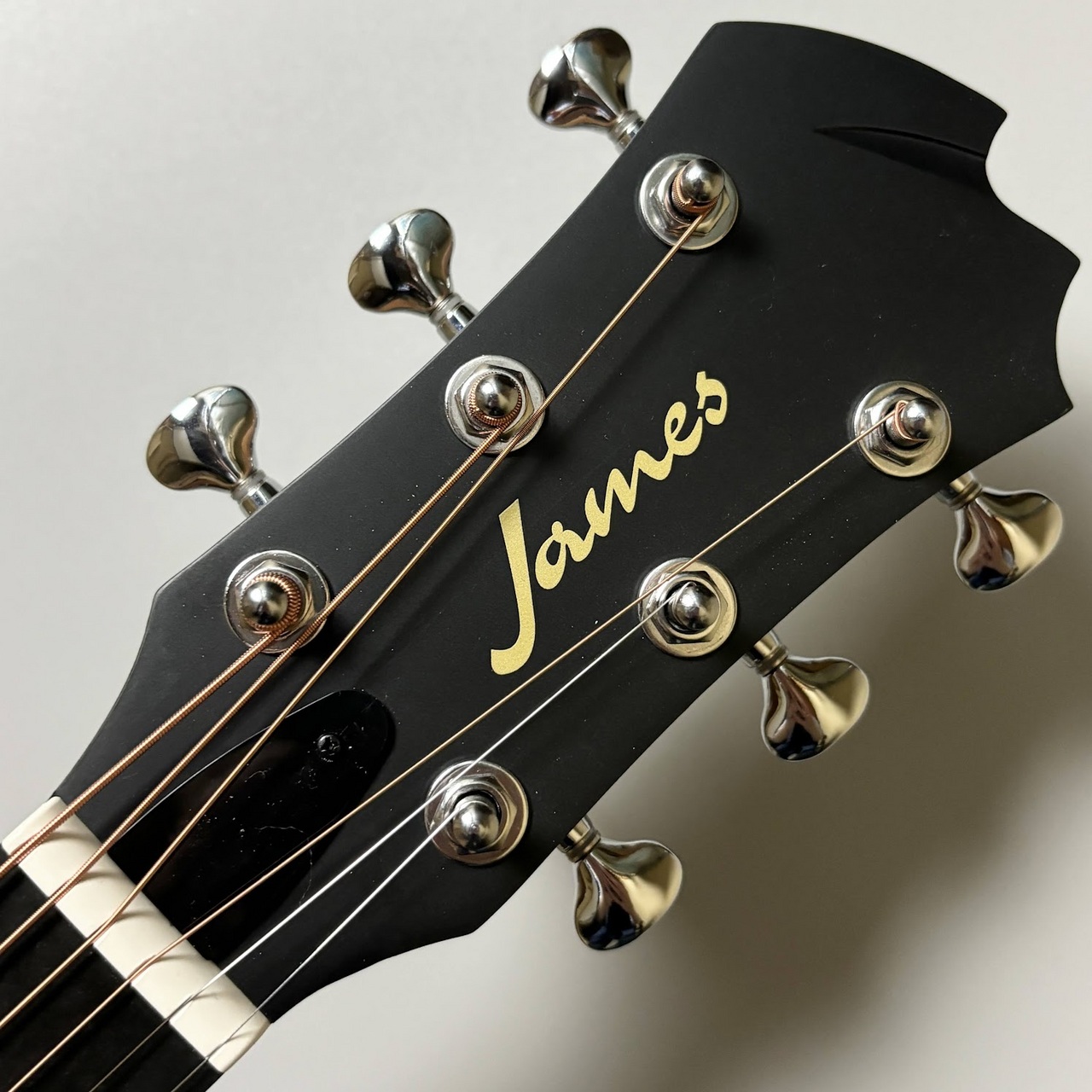 James J-100A SPT アコースティックギター ギグケース付属