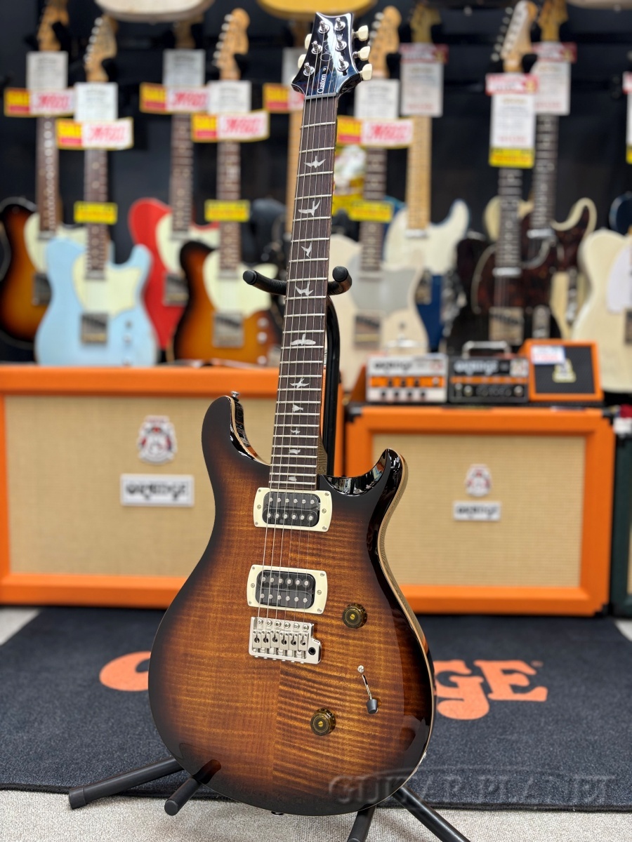 美品　PRS SE Custom 2026年4月末購入品 PRS SE Custom 24 -Black Gold Sunburst- 【2026年製】【CTI I020550