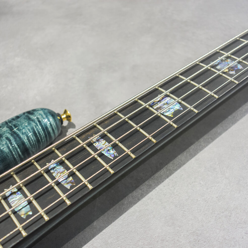 Spector NS-2 QM/SW M/EB EMG PJ Green Black Fade High Gloss【分割48