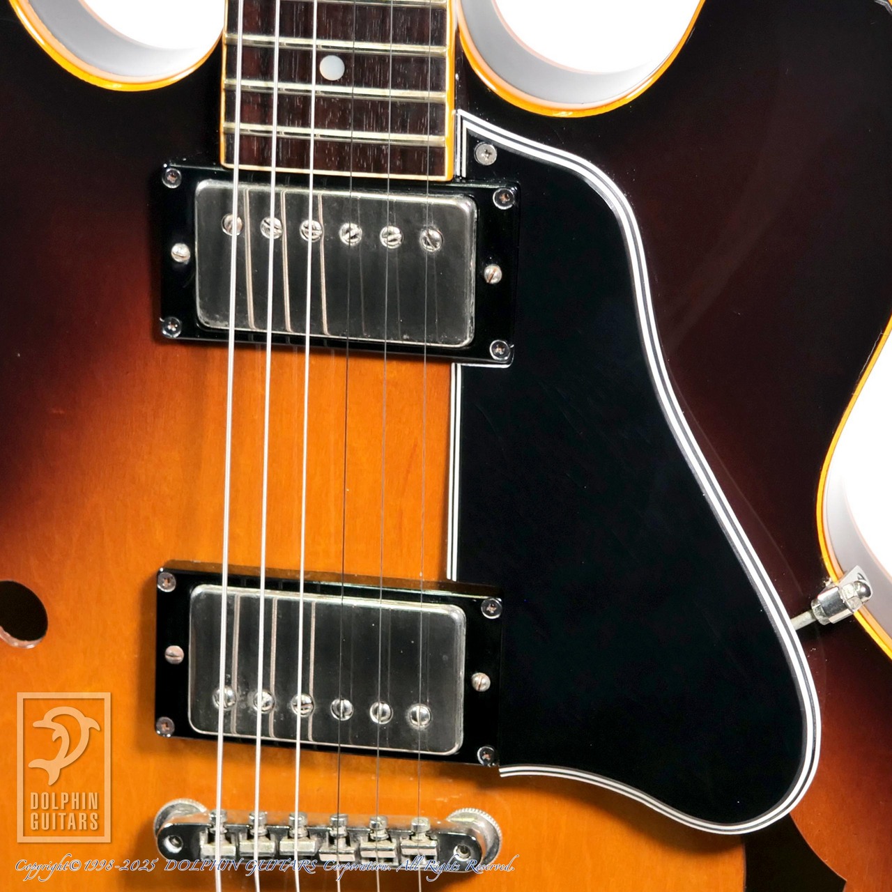 Greco SA-900（中古）【楽器検索デジマート】