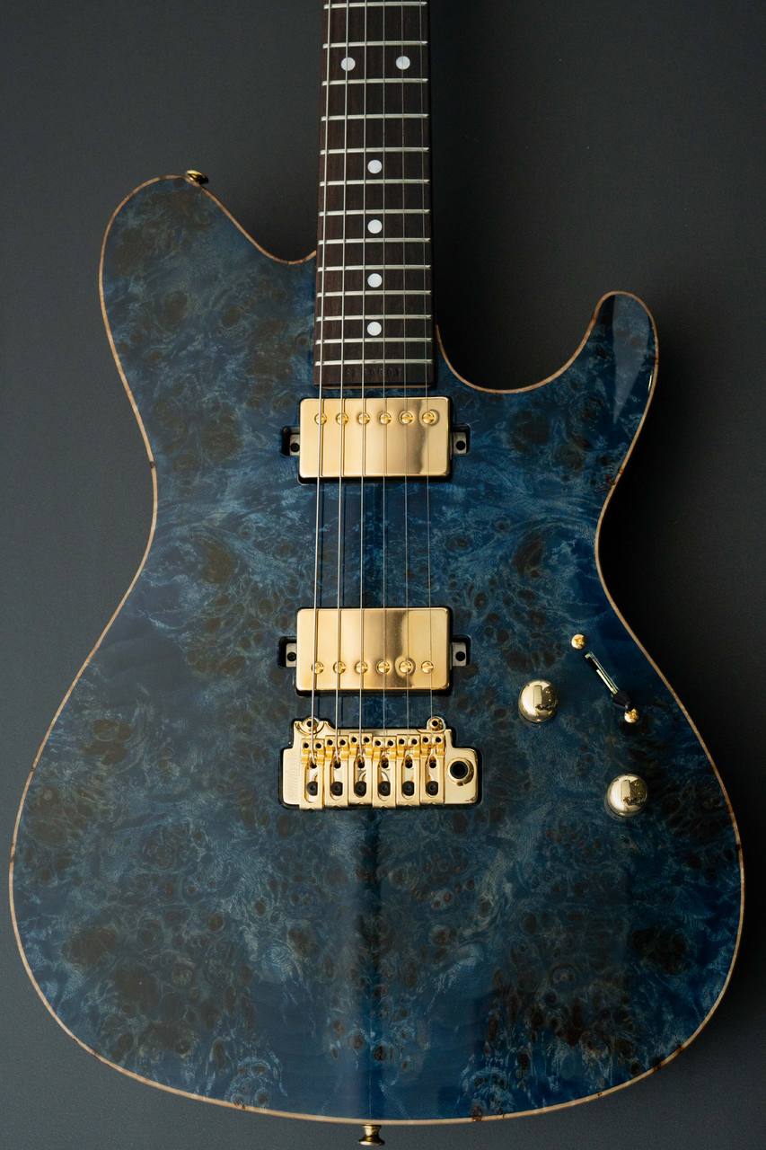 Sugi Standard Series DS496IR POP/HM/F-MAHO -RBL-（新品/送料