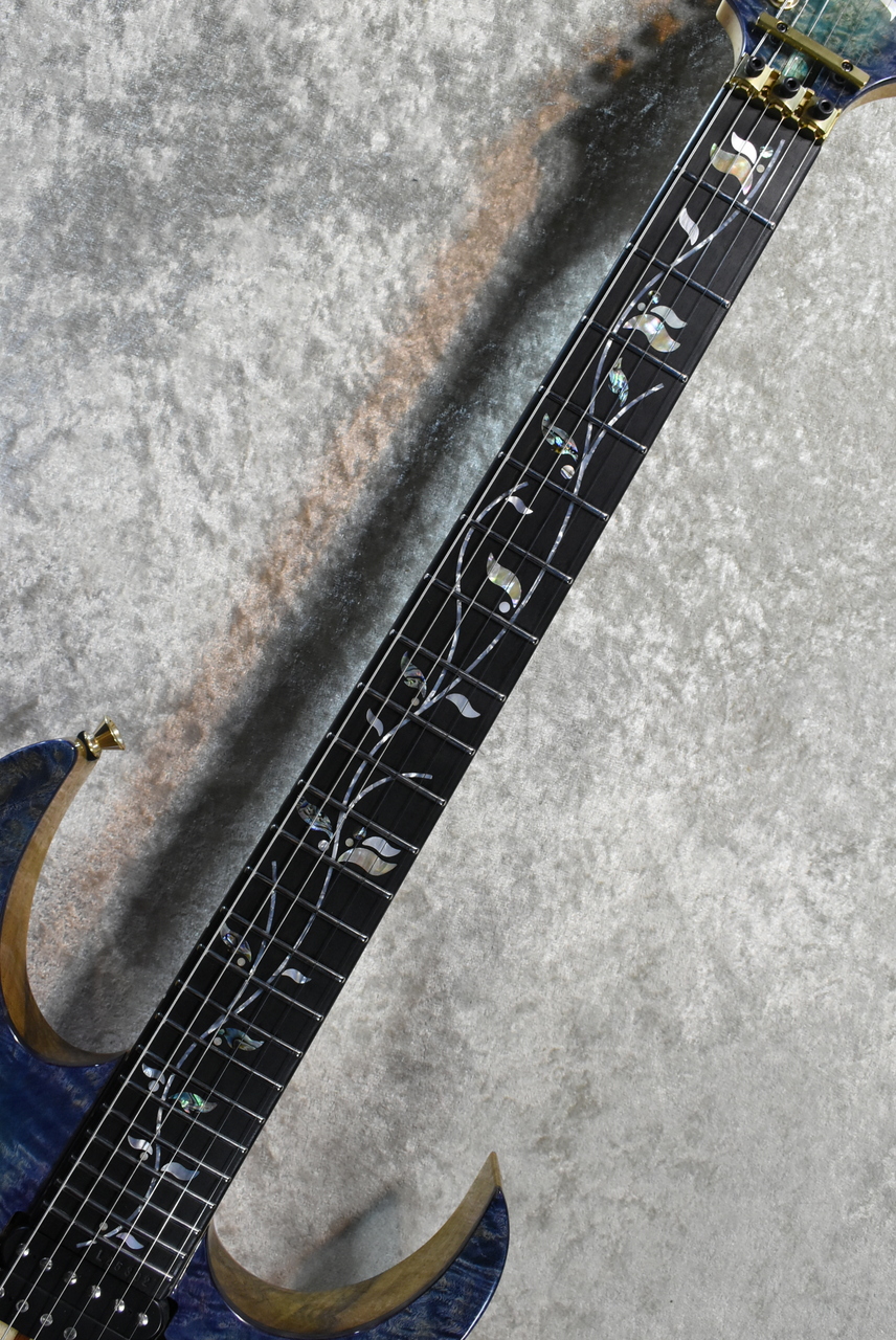 Ibanez VISIONS IV2RG #L25302【3.86kg】【極上Burl Maple Top/スルー